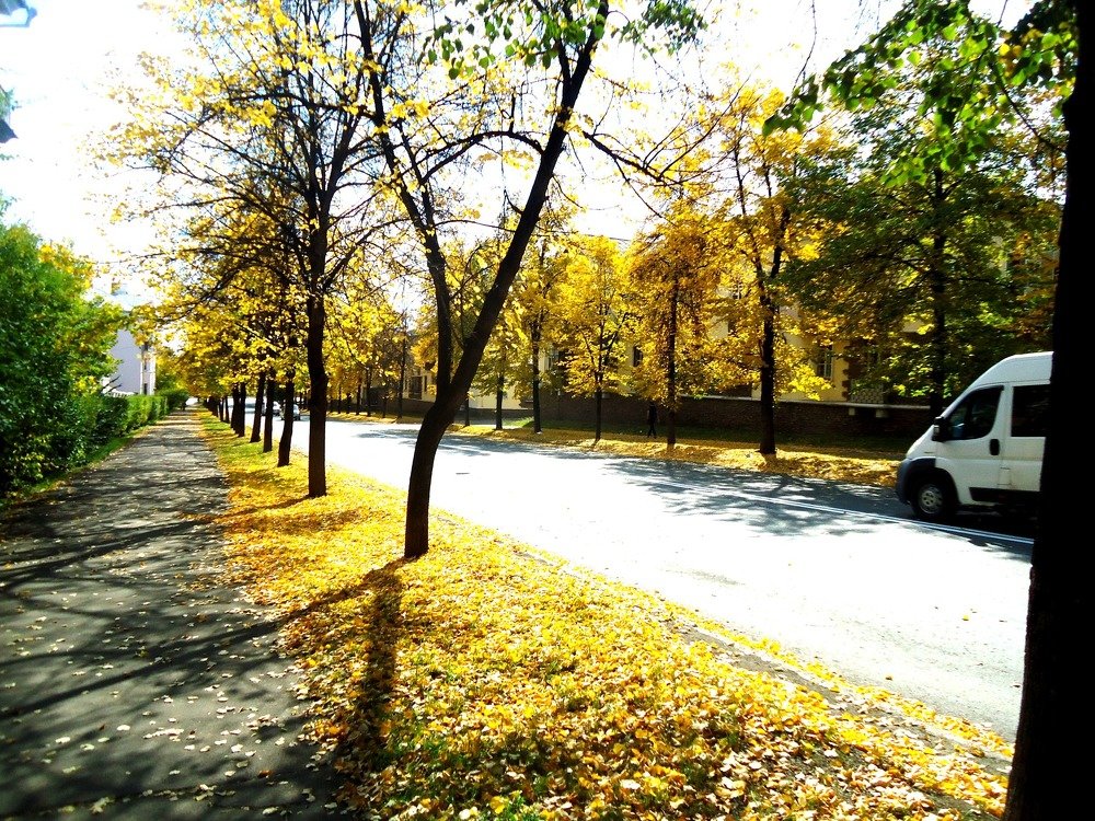 Photograph by Сергей Хвостовец