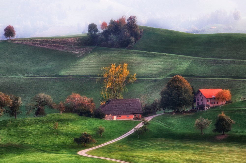 На швейцарских холмах
