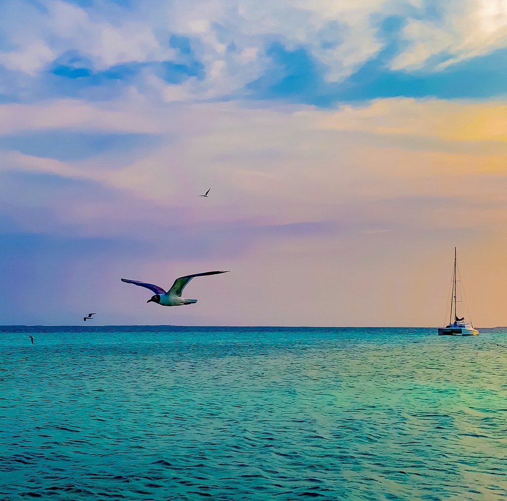 Photograph by Julio Rafael Borges Araque