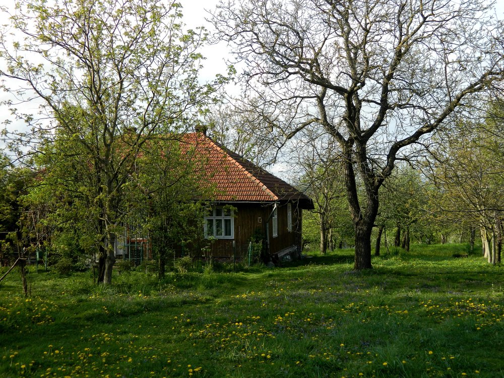 Photograph by Сергей Рапопорт