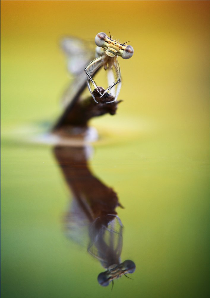 Photograph by Štefan Csontos