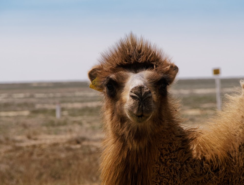 Photograph by Андрей Панин