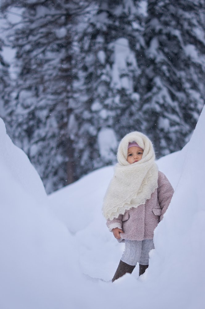 Photo #4068026