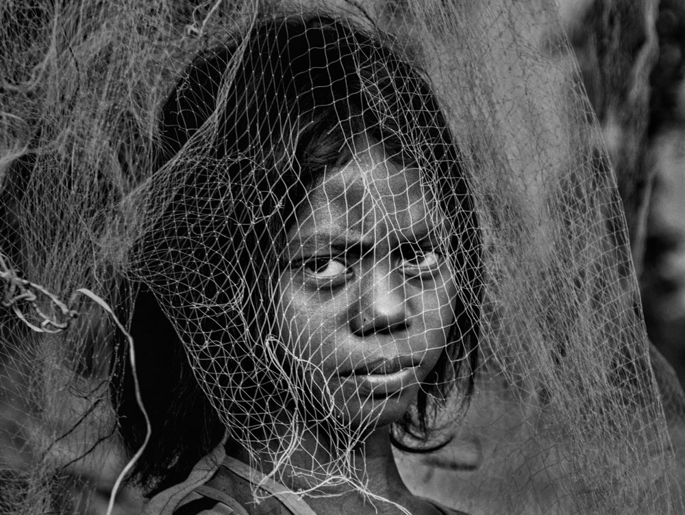 Photograph by Suman adhikary