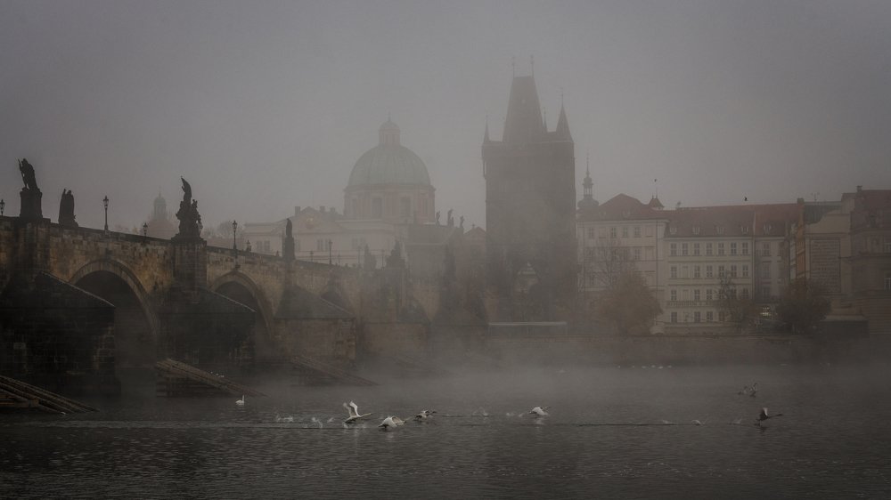 Фотография автора Александра Елагина