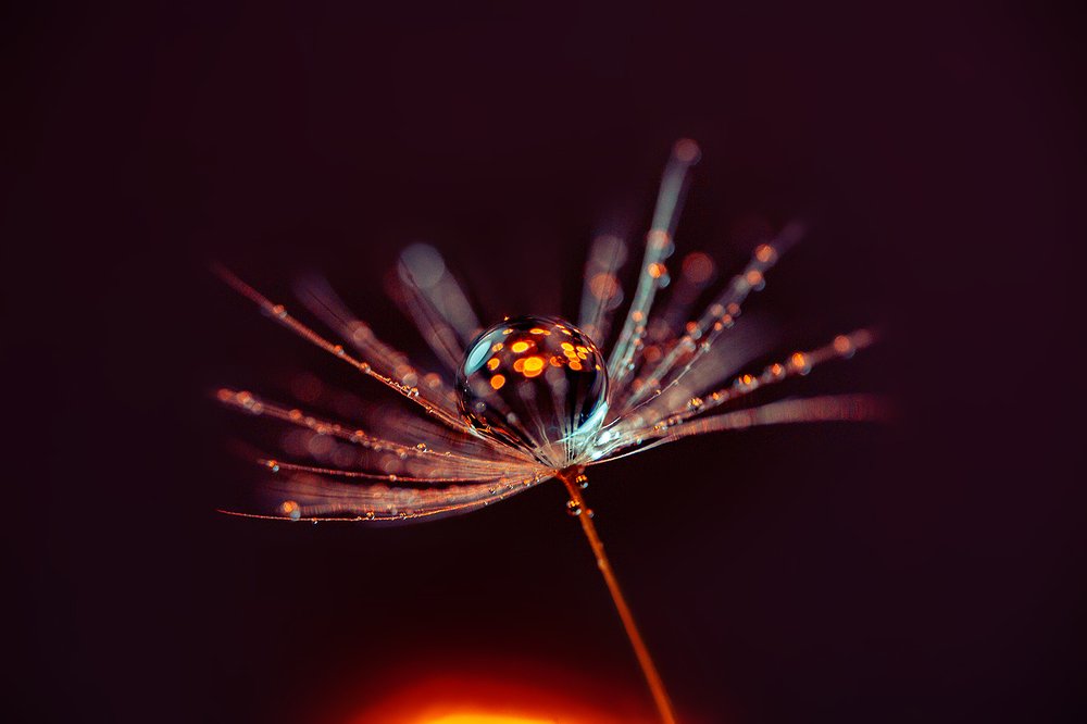 Макрокосмос