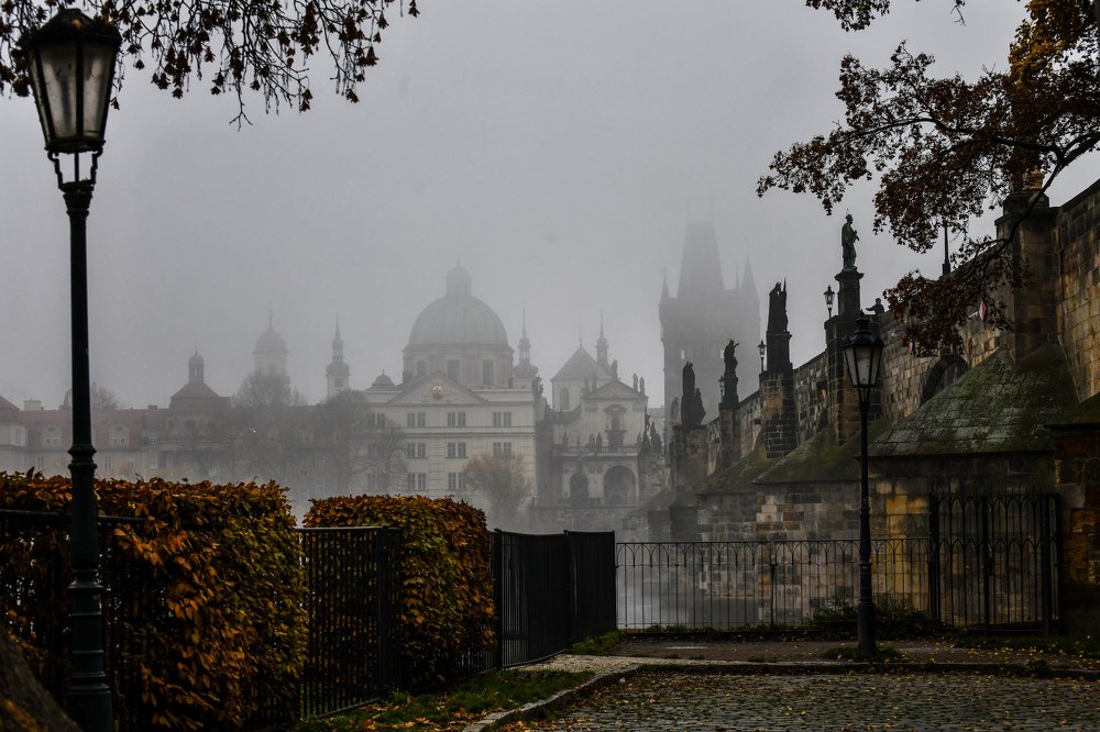 Фотография автора Александра Елагина