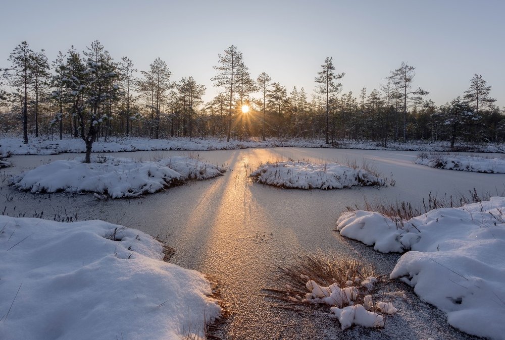 Photograph by Pavel Vaschenkov