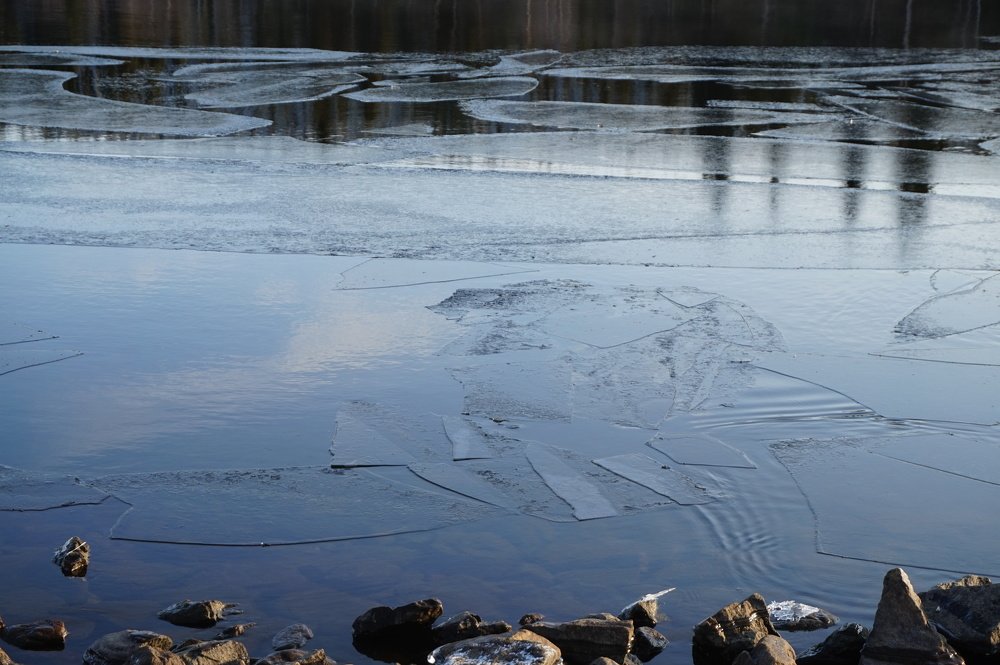 Photograph by нина кутчиева