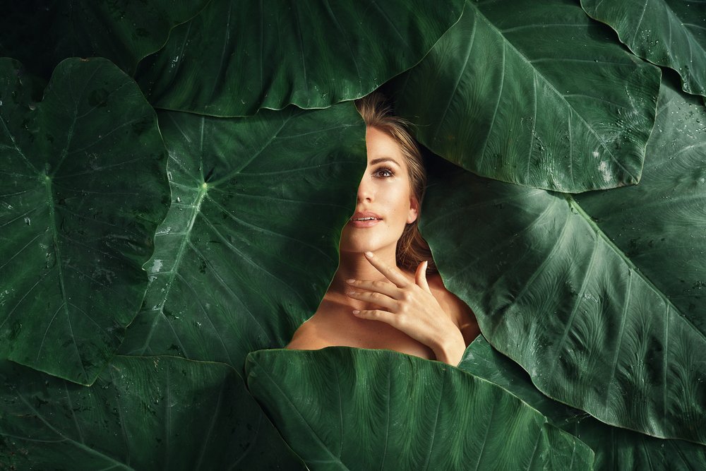 Фотография автора Дмитрий Шешуков