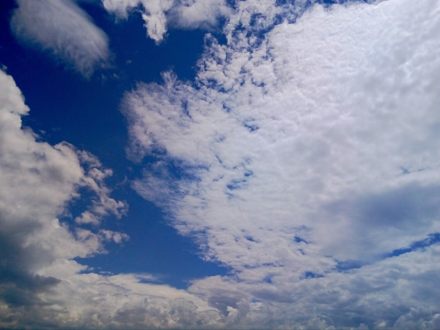 Photo #4068699