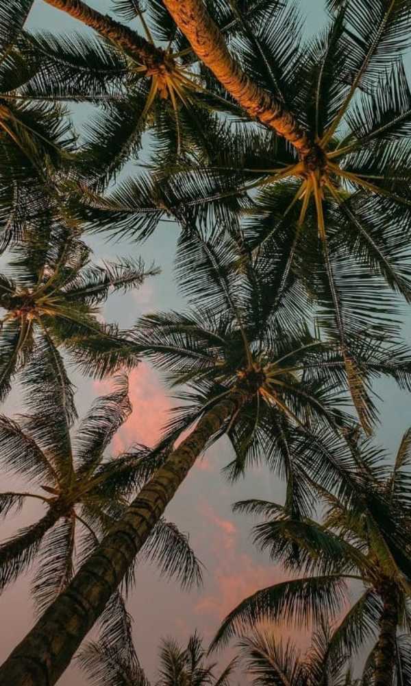 Photograph by Chris