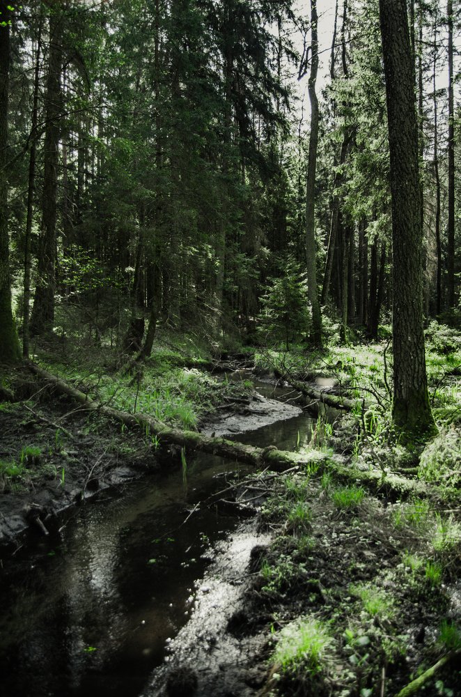 Photograph by Владимир Осипенко