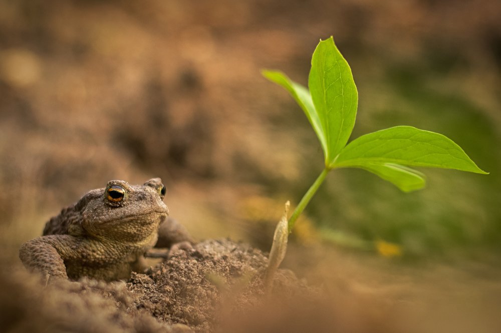 Photograph by Андрей Захарчук