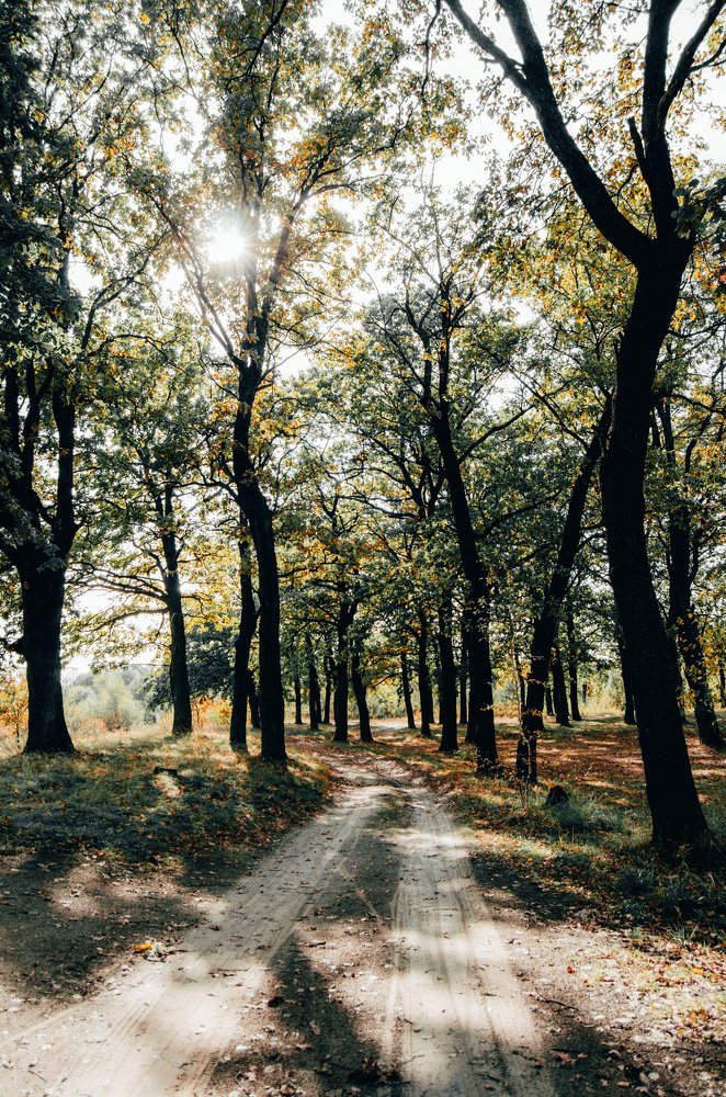 Photograph by Владимир Осипенко