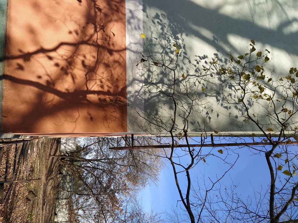 Photograph by Татьяна Мазок