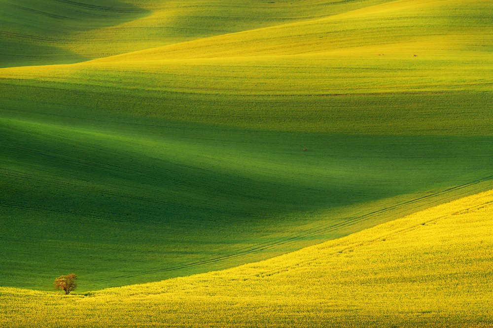 Оттенки весны.