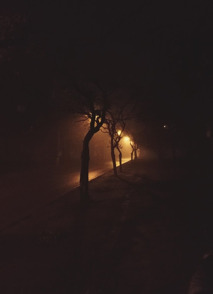 В слякоти и тумане