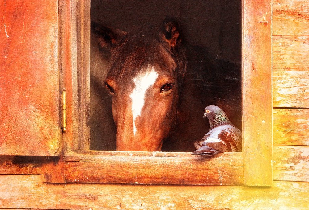 приватный разговор