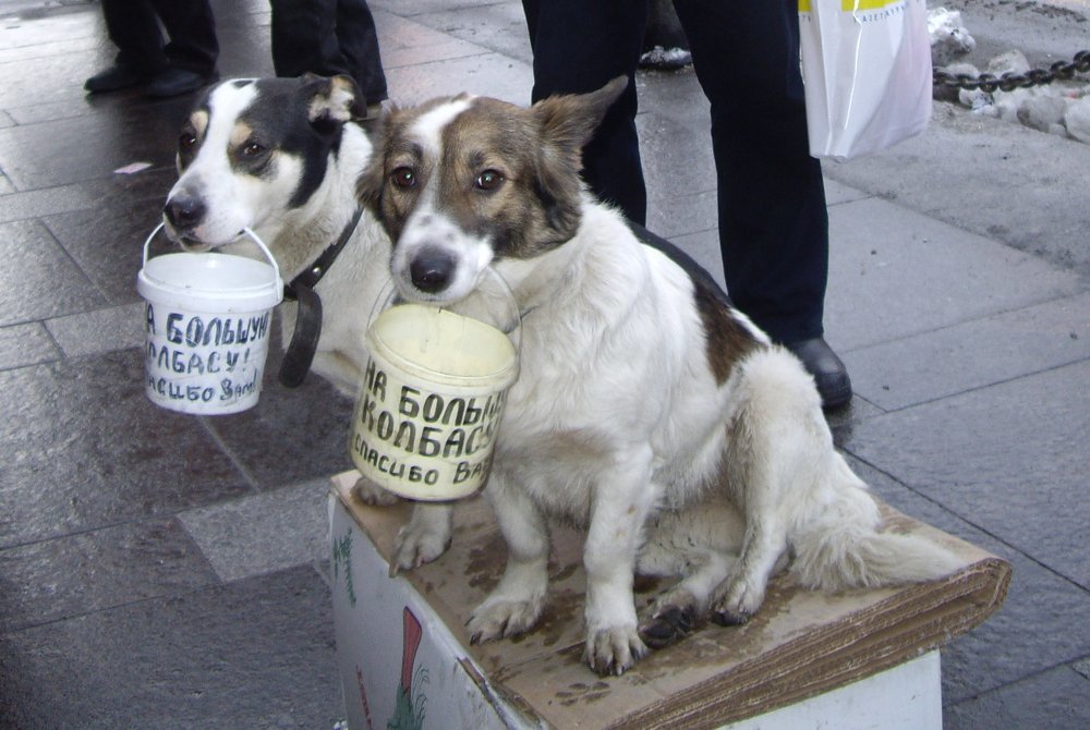 Таким отказать невозможно