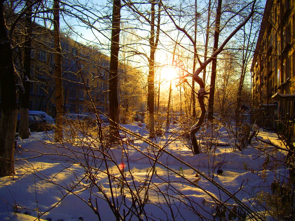 Вечернее солнце