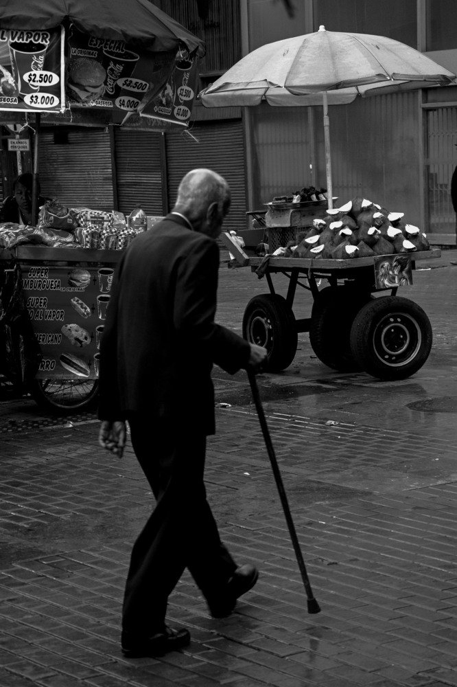 Photograph by Michael Stiven Castaño Guerrero