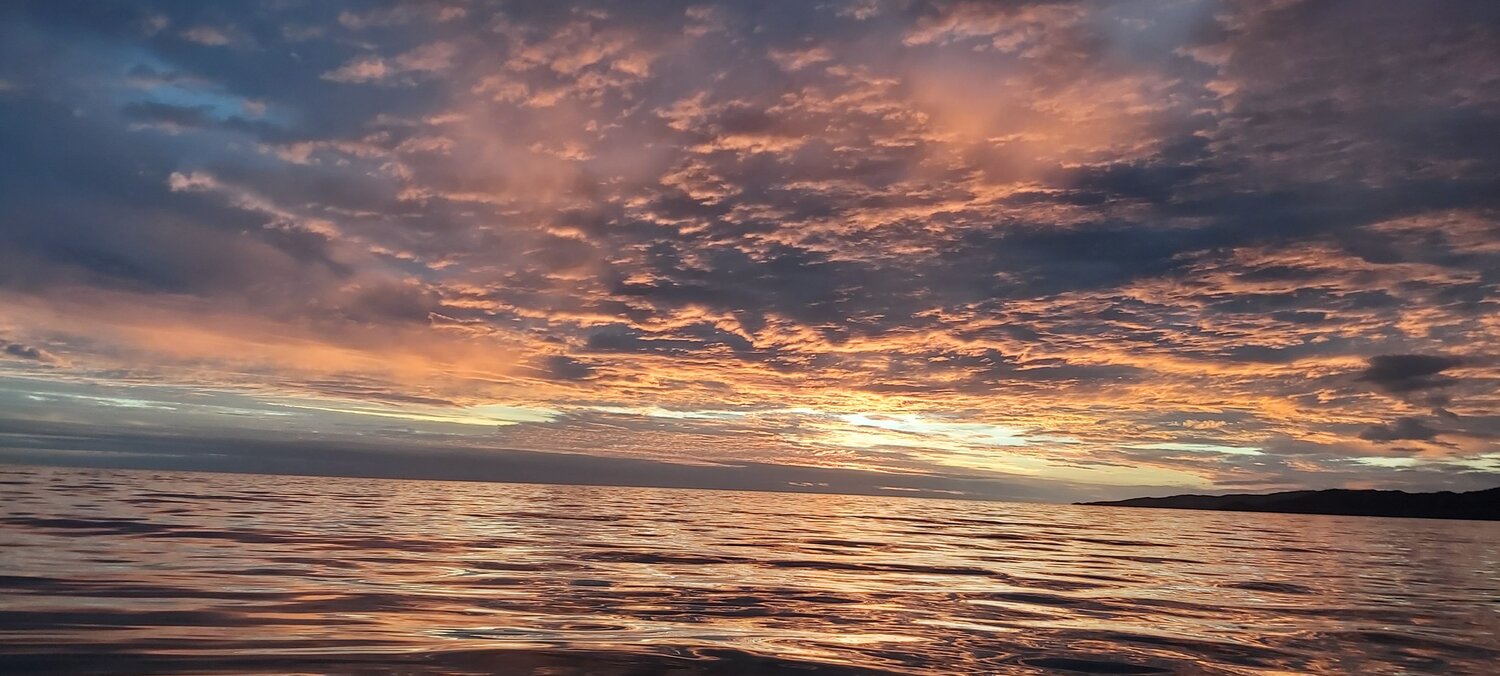 Photo #4069068