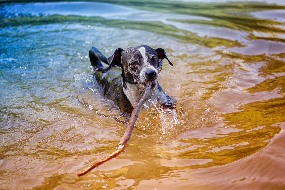 Photograph by Roman Beim