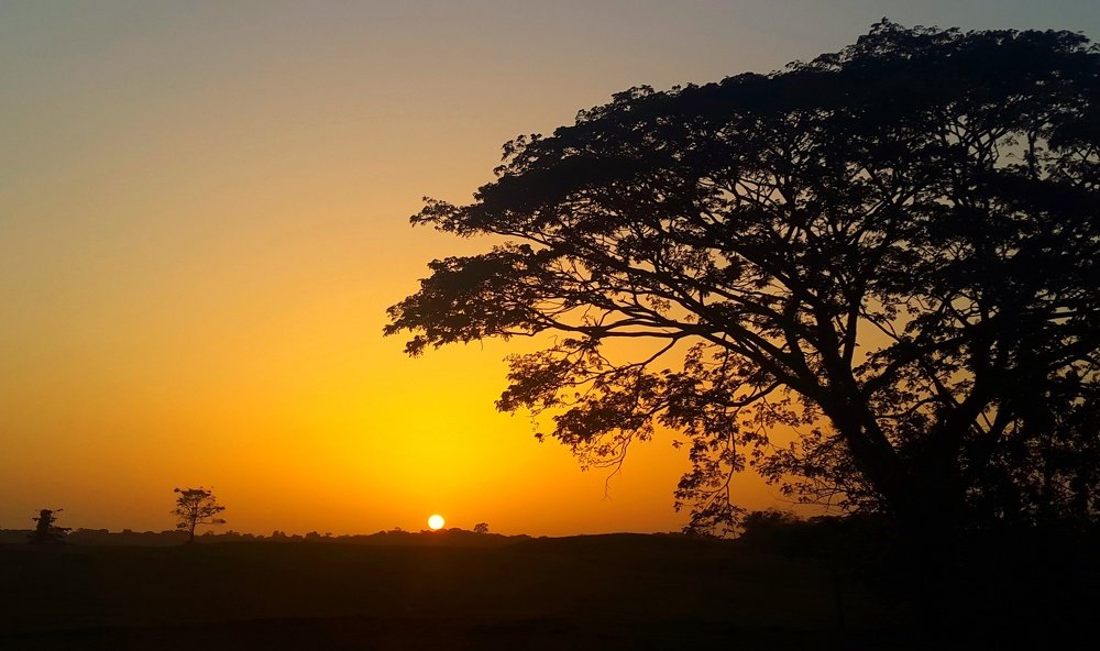 Sunset