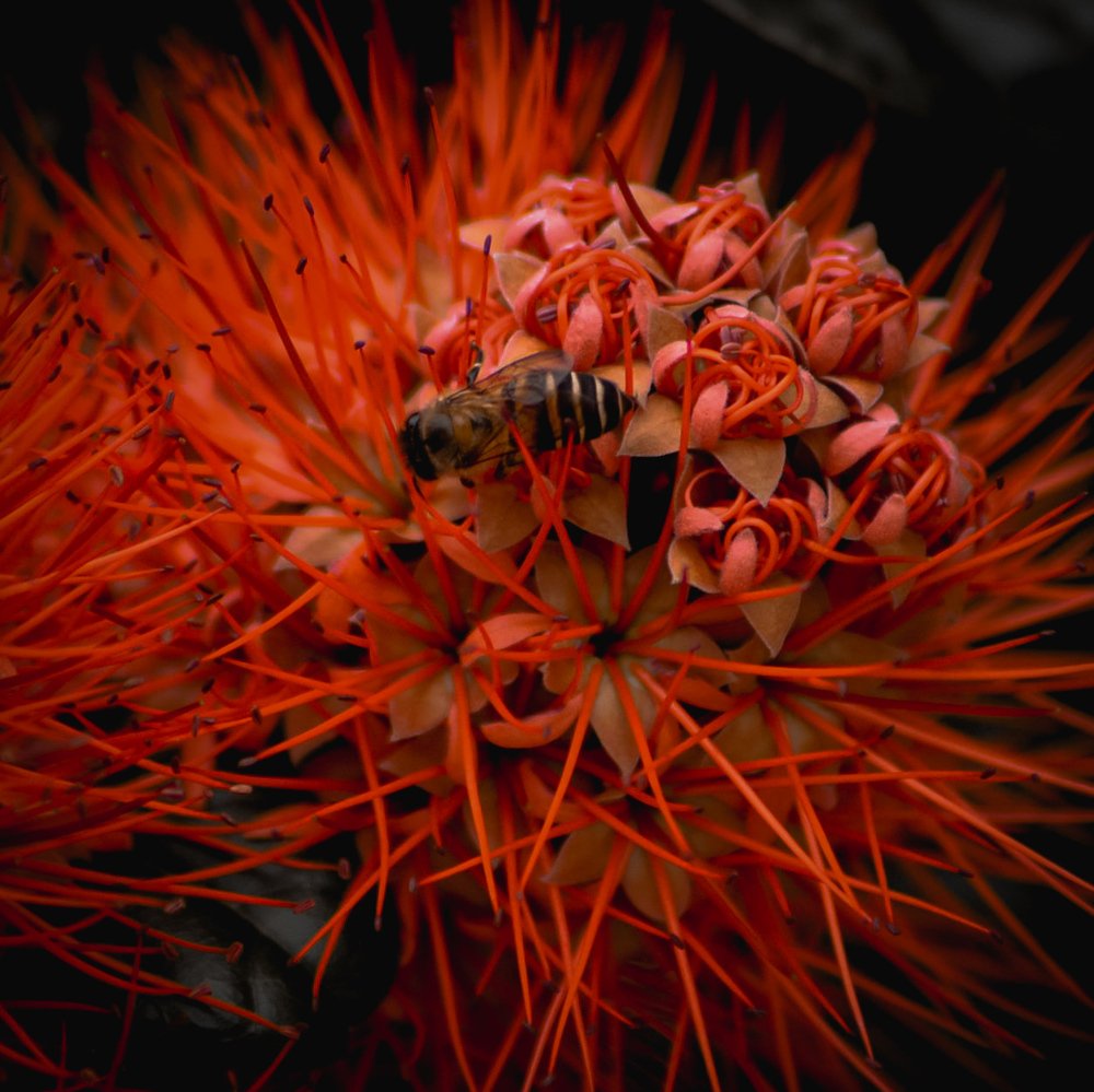 Photograph by Edwin bedua camin