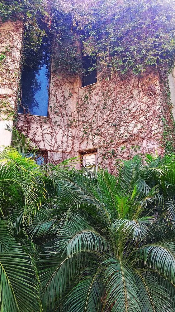 Фотография автора Pranay Shah