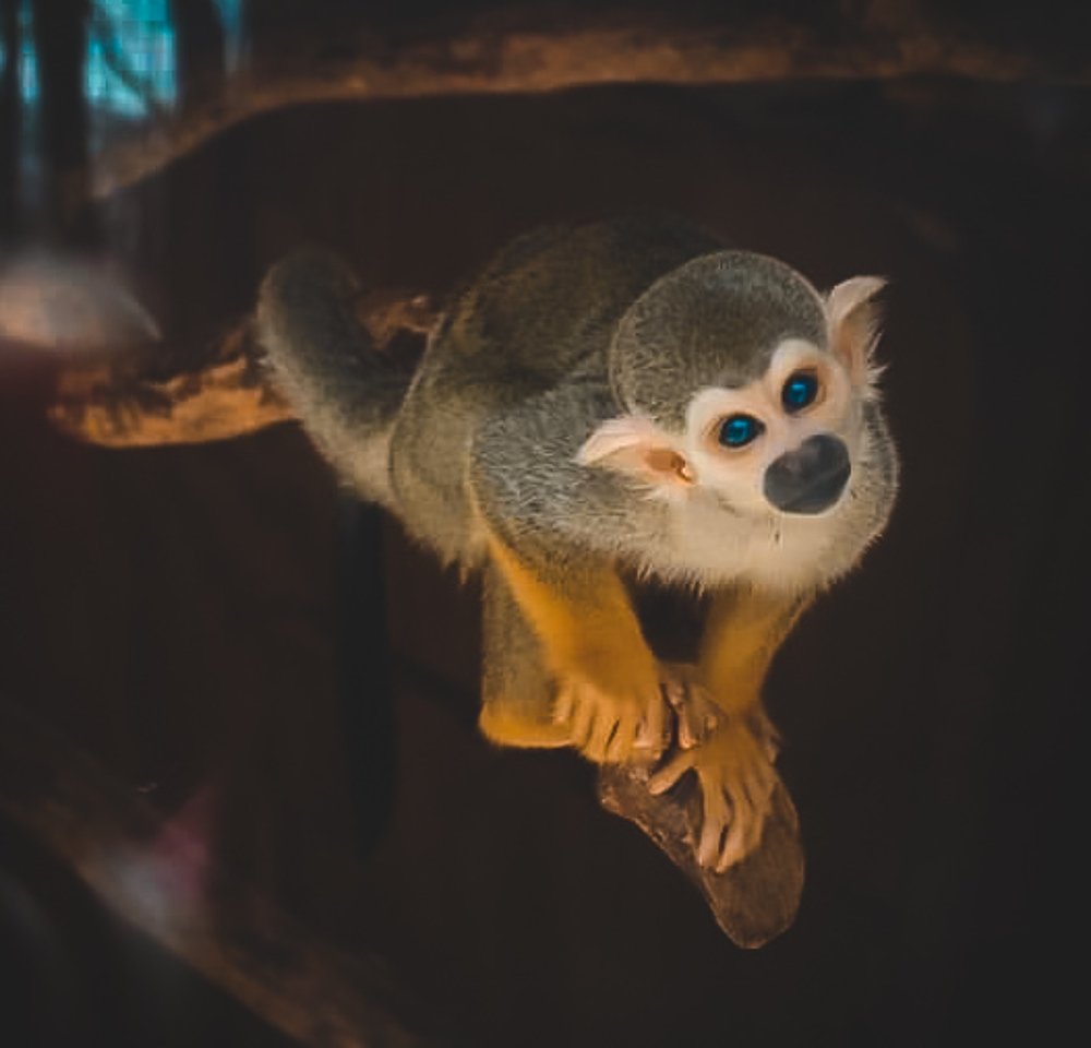 Photograph by Stephen