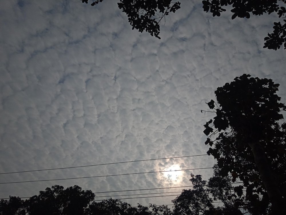 Photo #4069313