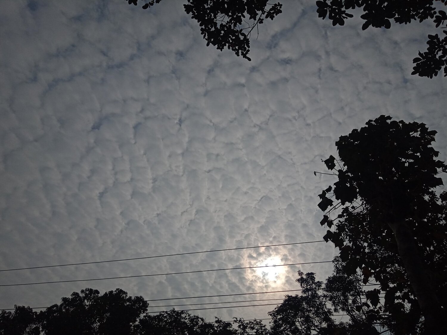 Photo #4069313