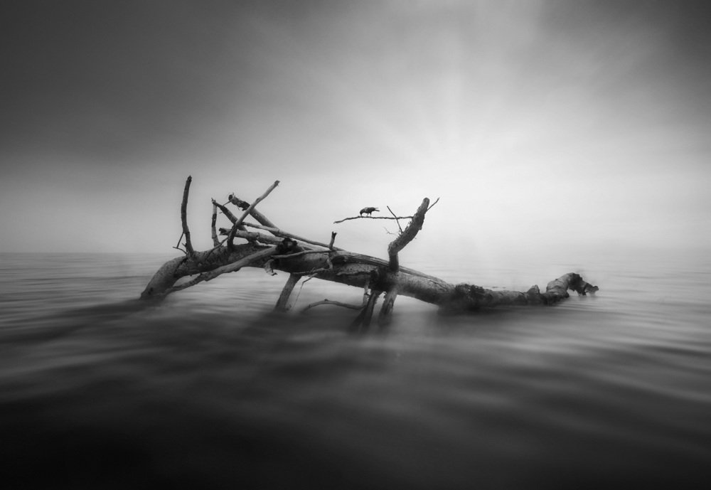 Photograph by kusuguri