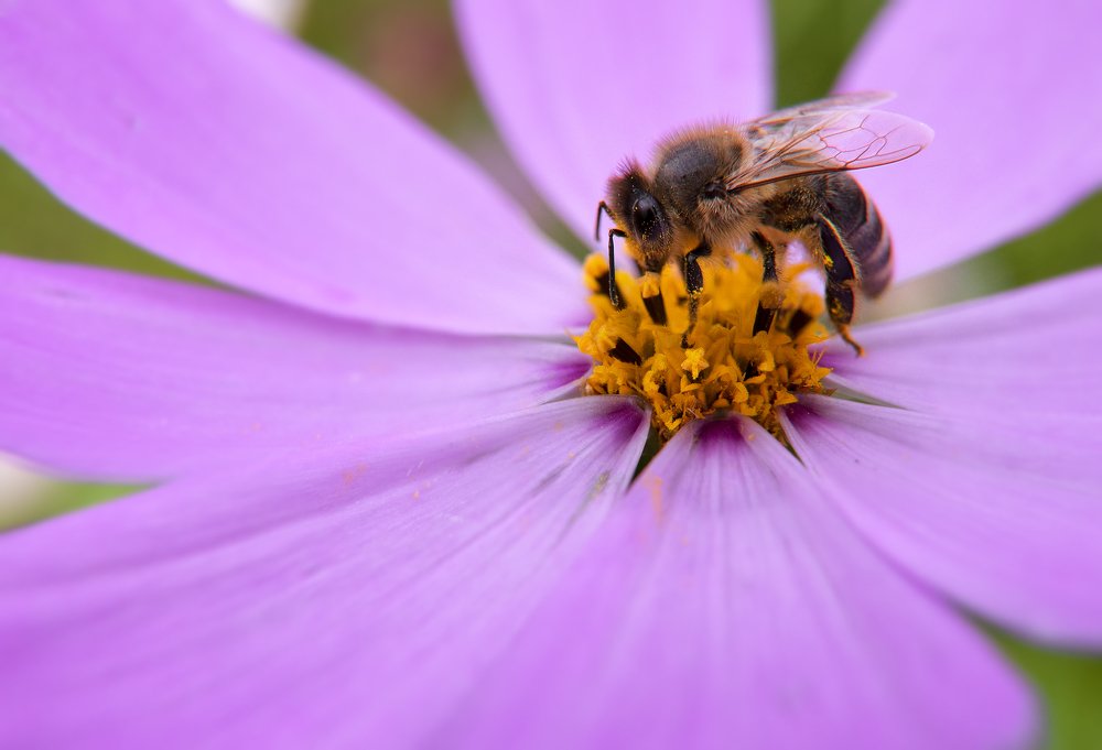 Photograph by Vlada Nesterova
