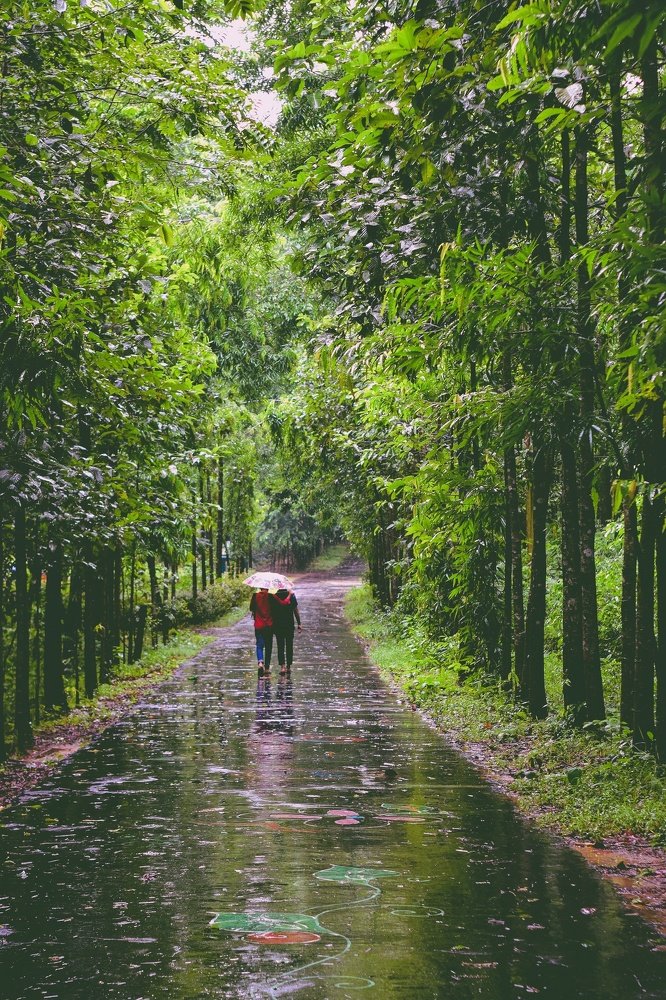 A Walk Through Memories