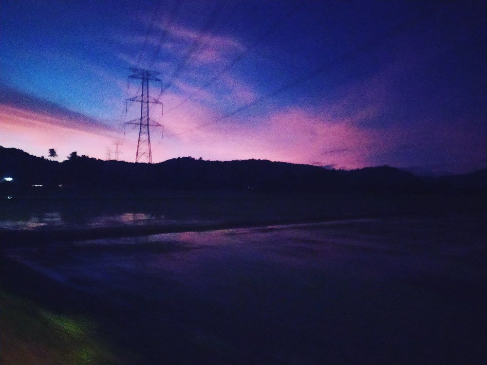 Pink in Blues