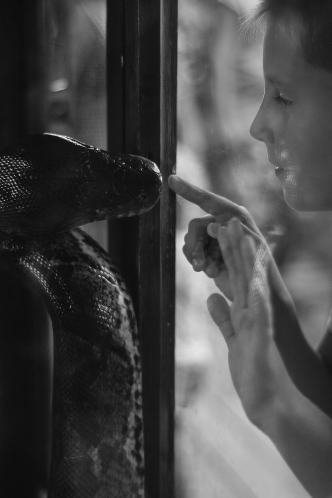 Photograph by Бутина Анастасия