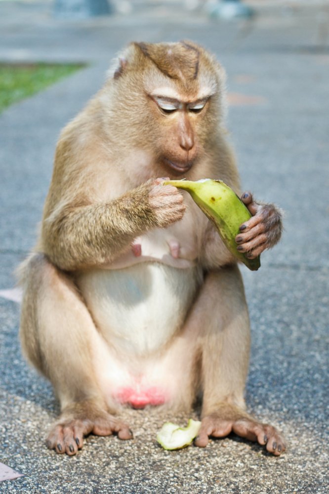 Photograph by Людмила Пак