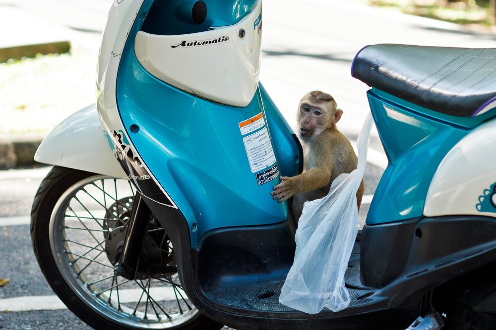 Photograph by Людмила Пак