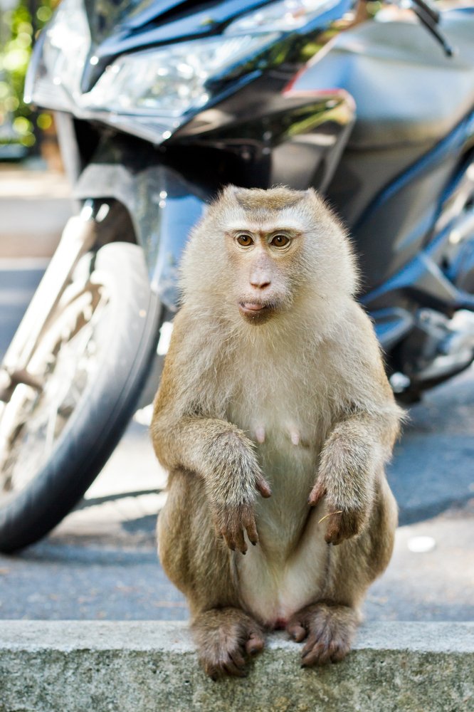 Photograph by Людмила Пак