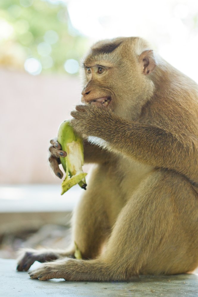 Photograph by Людмила Пак