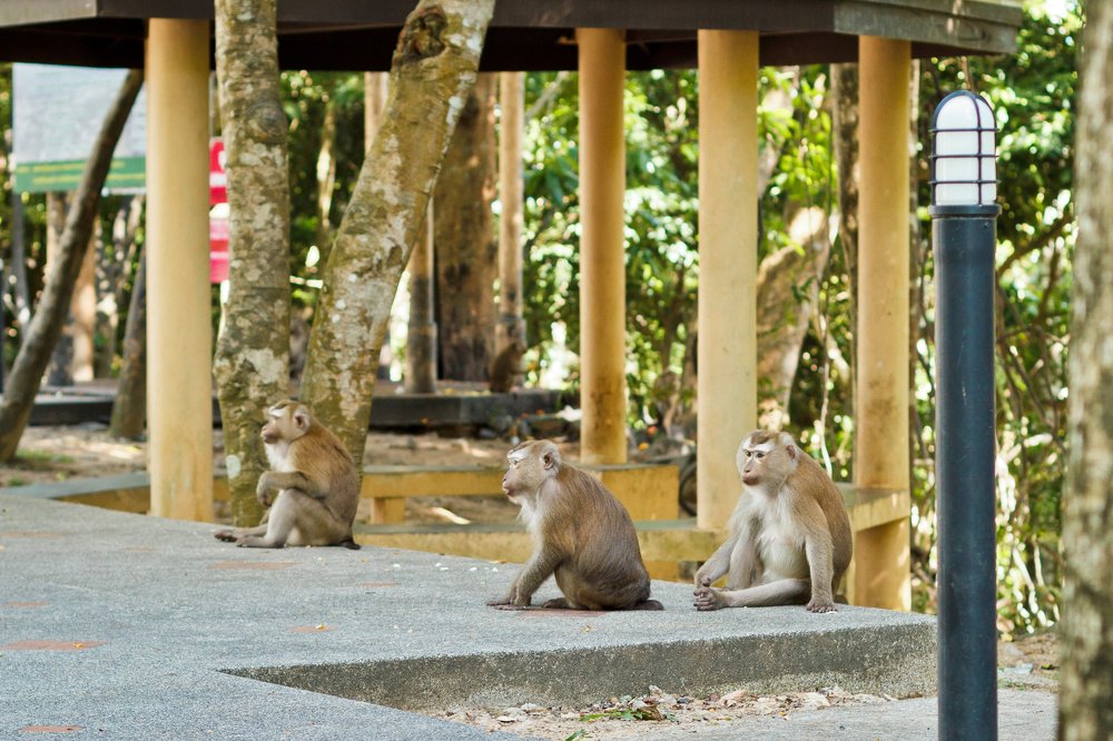 Photograph by Людмила Пак