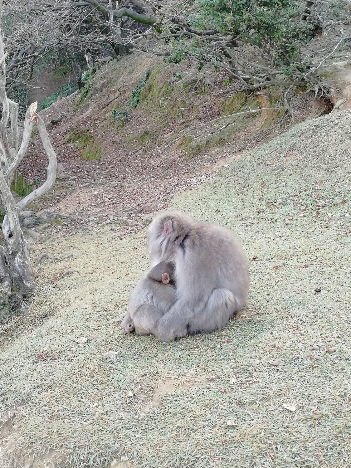 Photo #4069614