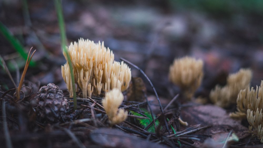 Photograph by Анна Дубровина