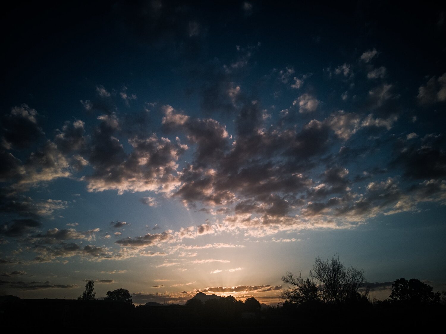 Photo #4069654