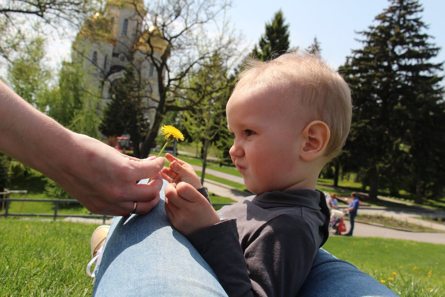 Photo #4069722