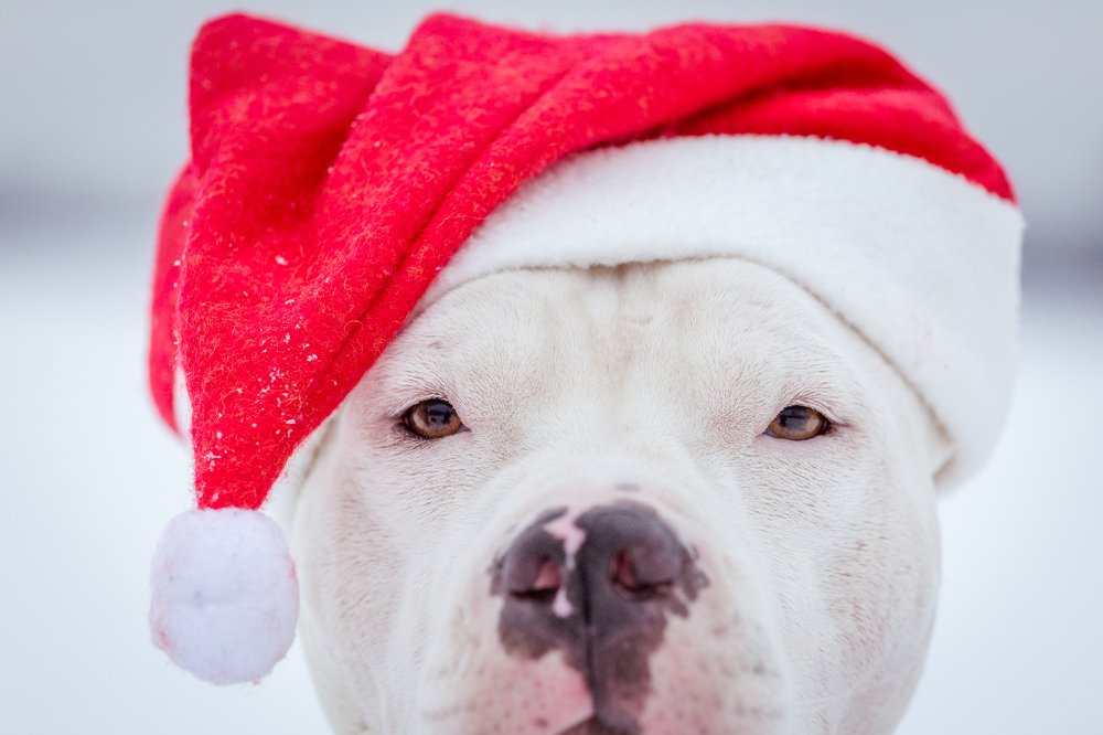 Photograph by Елена Левина