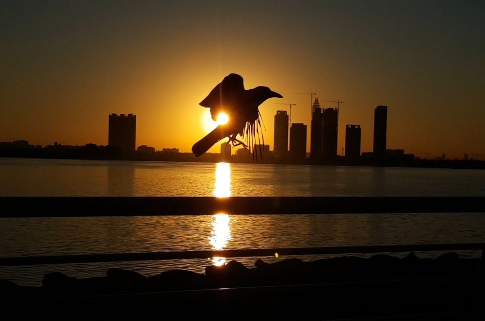 Photograph by Катерина Кудря